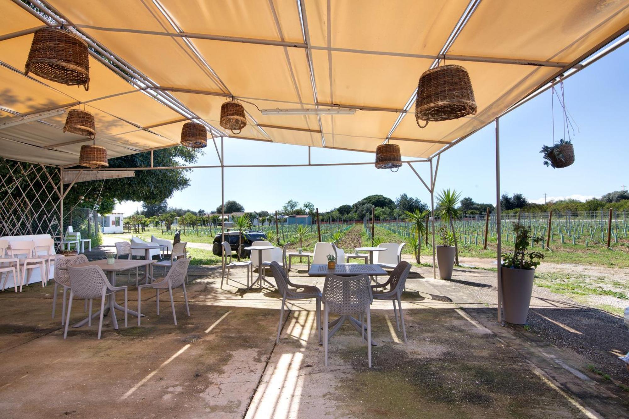 Vila Casa Lavadeira - Vinhas De Nexe FAO Exteriér fotografie